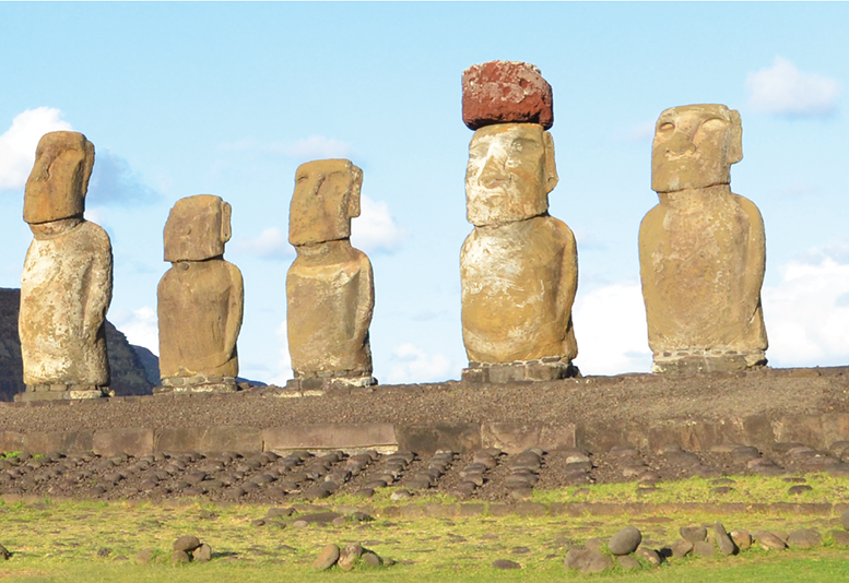 Read more about the article Environmental History